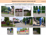 О работах по кошению травы